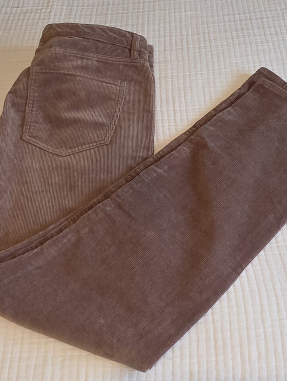 Quince Men Organic Stretch Corduroy 5-pocket Pants Beige 34 X 34